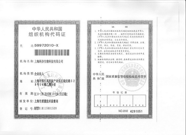 ��֯��������֤