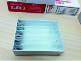 ��6-MP���廯��ҩ����Լ��У�TPMT*2/3B/3C��